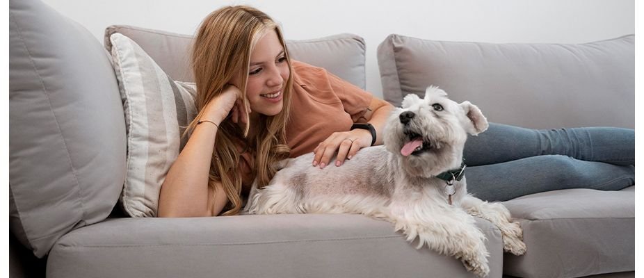 DICAS PARA TER PETS EM CASA