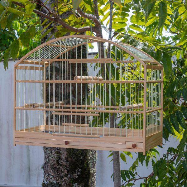 trinca ferro natural 1