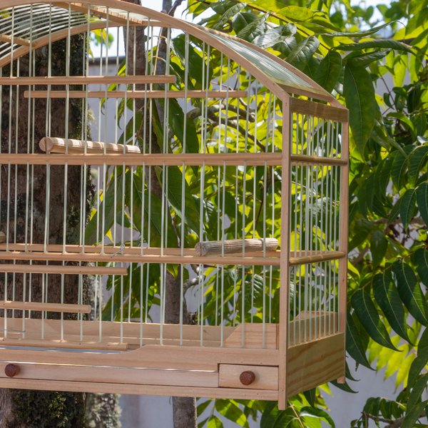 trinca ferro natural 2