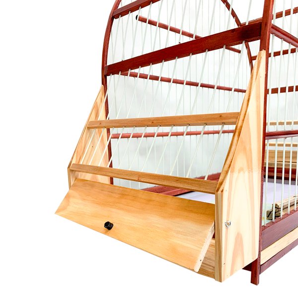 sabia mogno detalhe 2