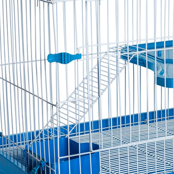 coelho chinchila porquinho da india escada azul