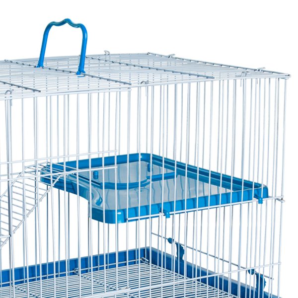 coelho chinchila porquinho da india andar azul