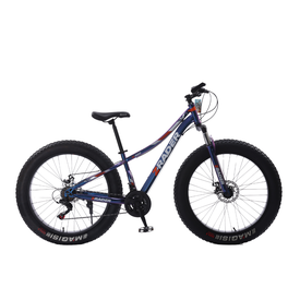 Bicicleta Aro 26'' Com 21 Marchas- Fat Quadro Rebaixado - Z-Rader