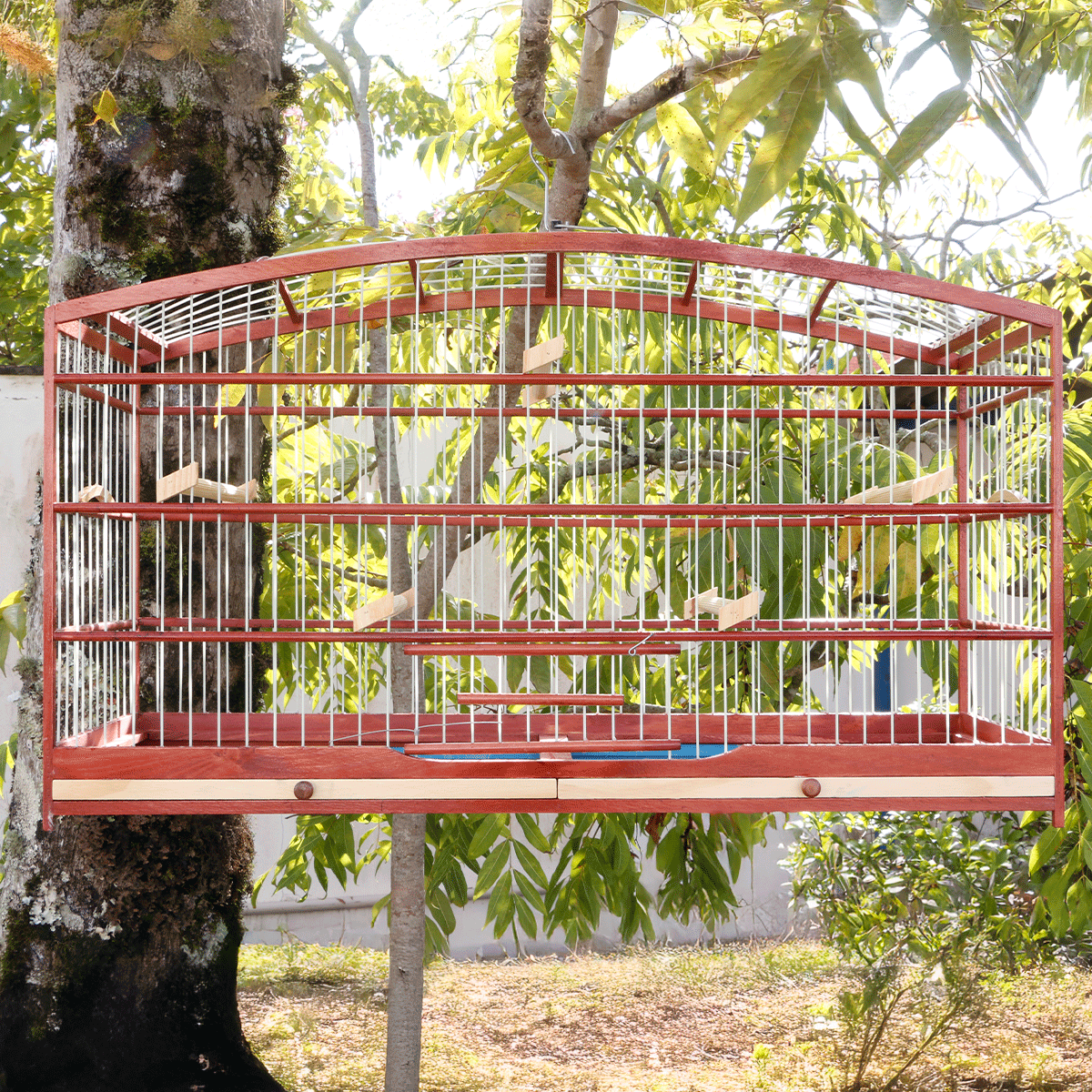 Qualidade Superior da Gaiola