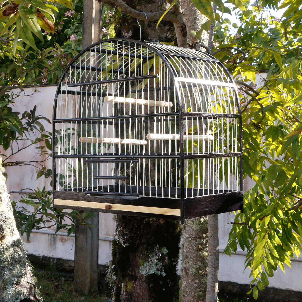 Qualidade Superior da Gaiola