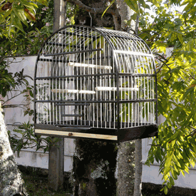 Gaiola Passarinho em Madeira Sabiá/ Pássaro Preto/ Curupião