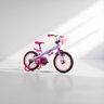 bicicleta aro 16 pixie 2prancheta 5