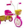 triciclo princesasprancheta 4